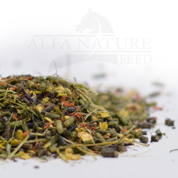 Mieszanka Paszowa Alfa BODY BUILDER 20kg