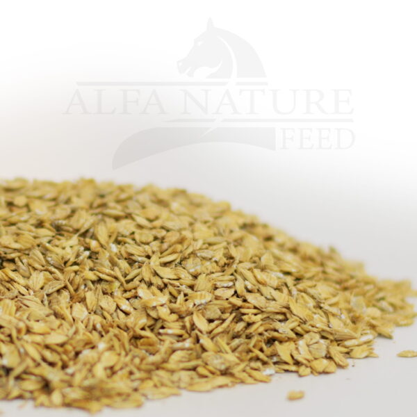 Płatki Jęczmienne mikronizowane 10kg