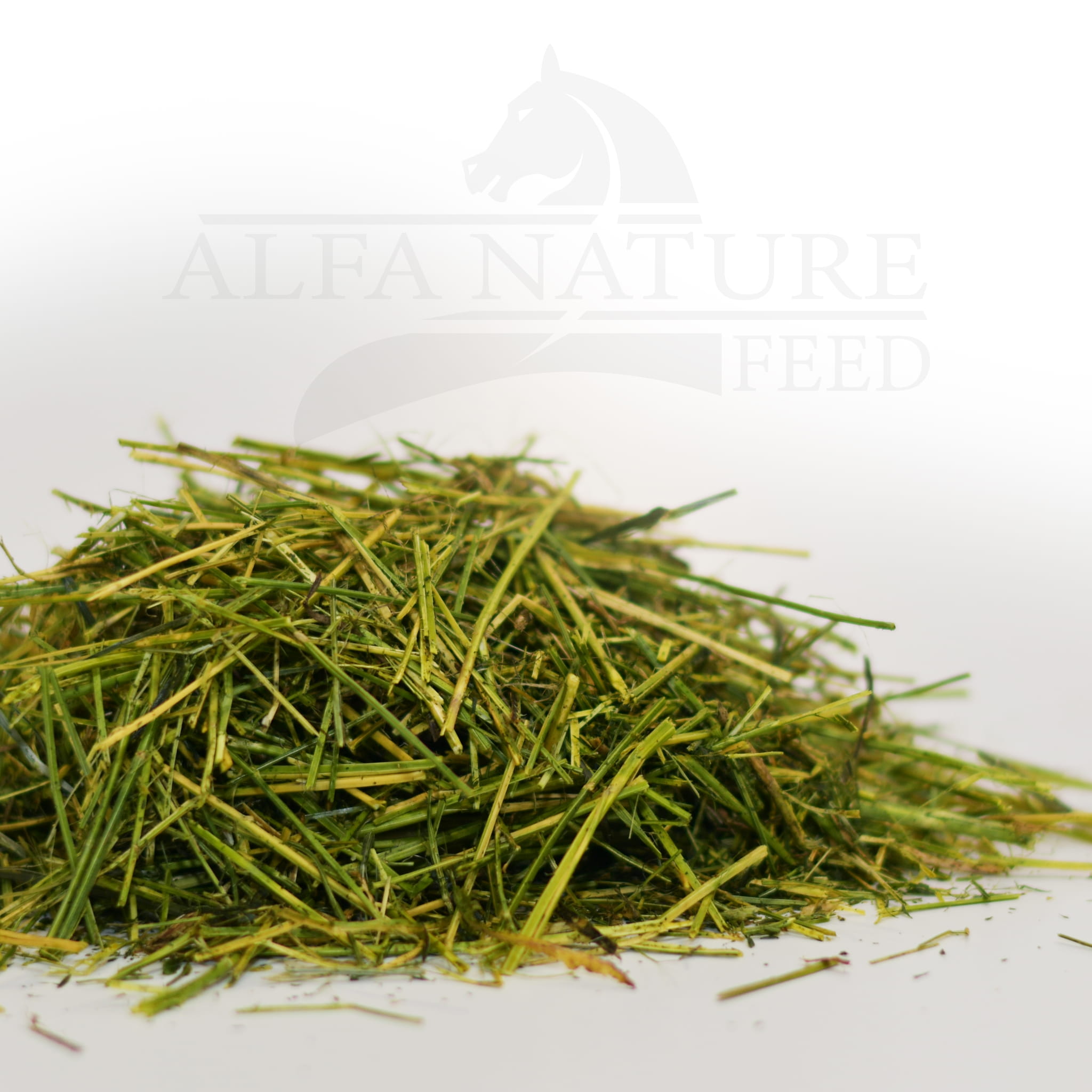 Sieczka ALFALFA MINT 10kg