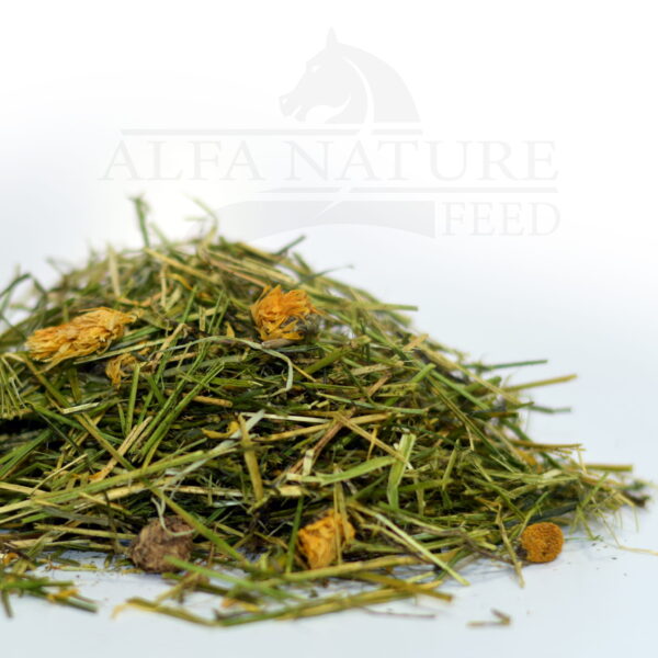 Sieczka ALFALFA HERBS 10kg