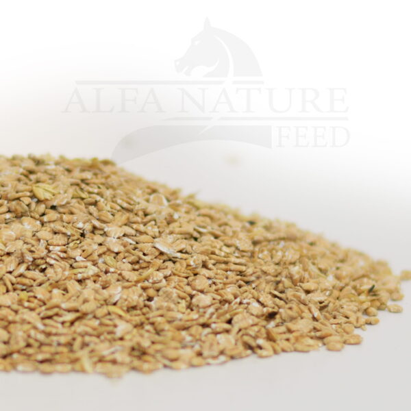 Płatki Pszenne mikronizowane 10kg